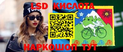 гидра Кандалакша
