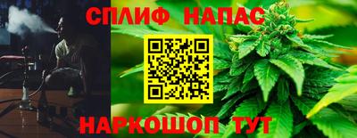 прущие грибы Камышлов