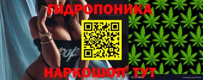 прущие грибы Камышлов