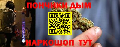 прущие грибы Камышлов