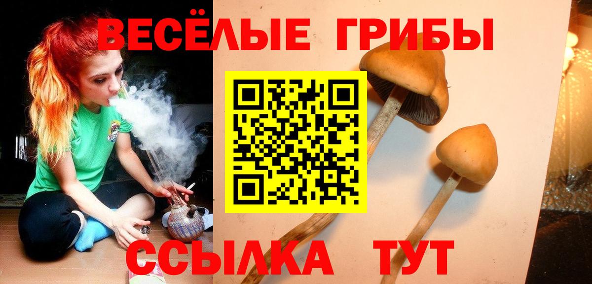 Псилоцибиновые грибы прущие грибы  Вход с VPN  Буйнакск 